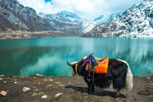 Gangtok Tsangmo Lake in Sikkim, India