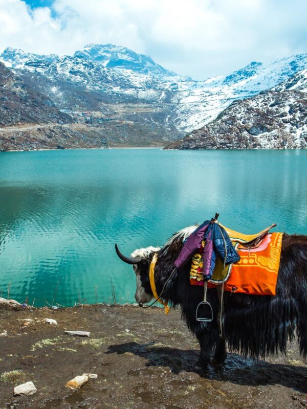Gangtok Tsangmo Lake in Sikkim, India