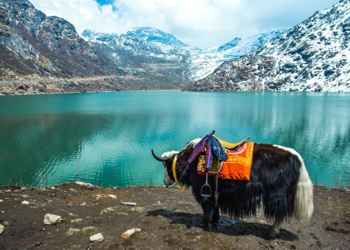 Gangtok Tsangmo Lake in Sikkim, India