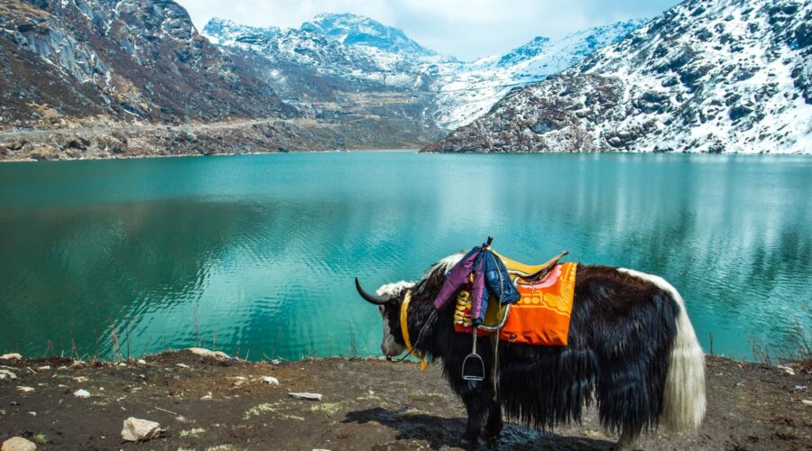 Gangtok Tsangmo Lake in Sikkim, India