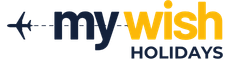 new 13 logo